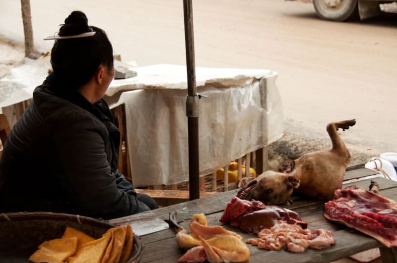 Žena prodává psí maso na tržišti ve vesnici Zhaoxing Dong v jižní Číně.