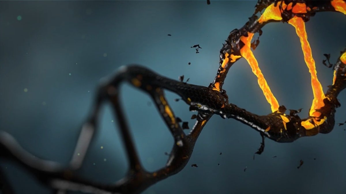 Viry mohou ukrást náš genetický kód a přepsat ho tak, aby vnikly nové geny. Zdroj:  The Mount Sinai Hospital / Mount Sinai School of Medicine