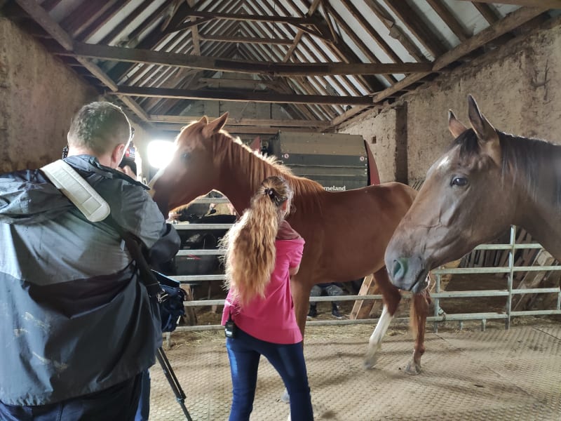 Natáčení rozhovoru za přítomností zvídavých koní zaměstnalo celý štáb i Patricii Pitříkovou naplno.