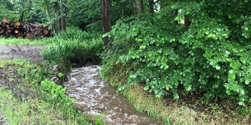 Na Vysočině platí 1. povodňový stupeň na pěti místech Svratky, Sázavy a Doubravy.