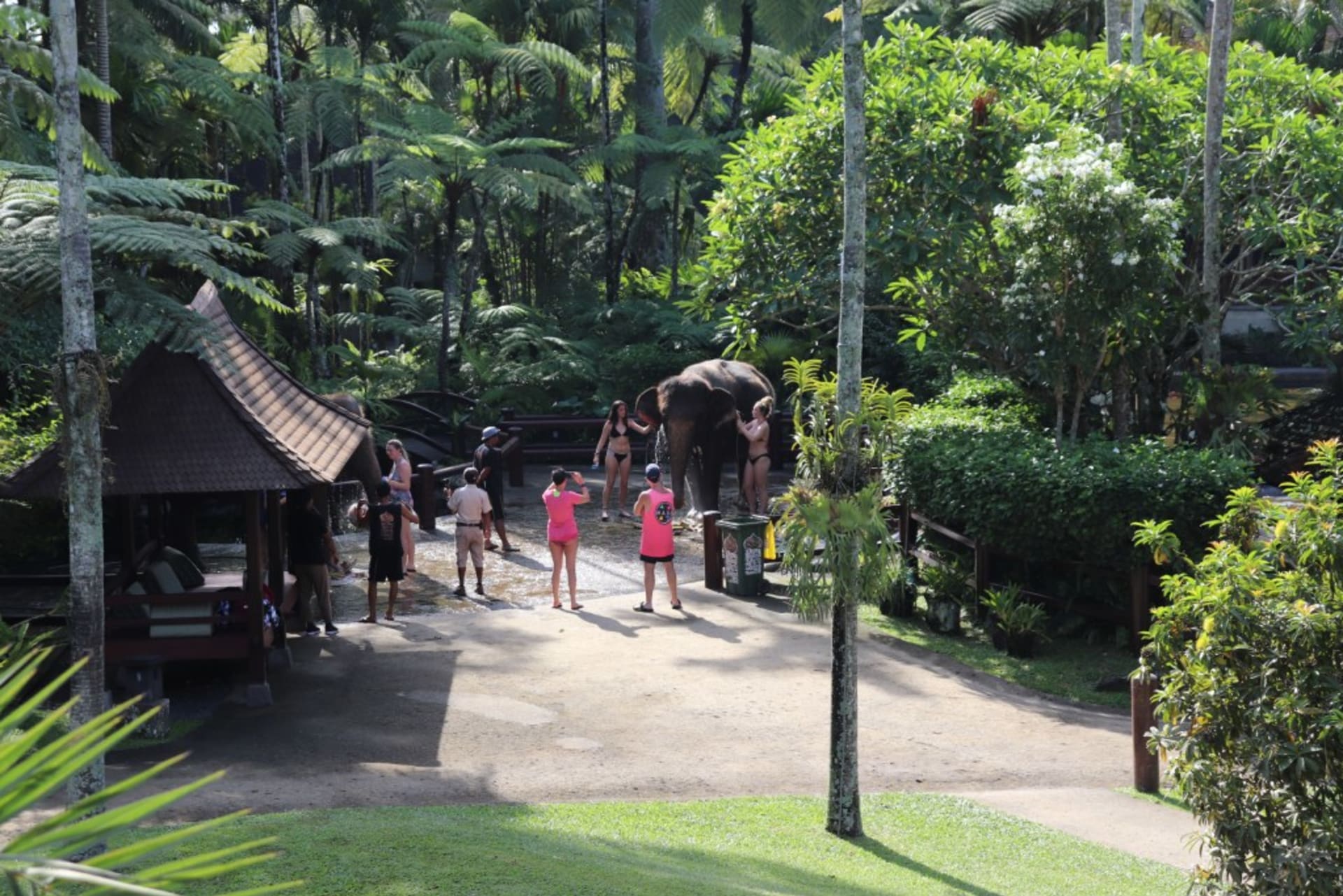 Sloni jsou nuceni snášet přítomnost a doteky turistů, i když nechtějí. Zdroj: Lady Freethinker
