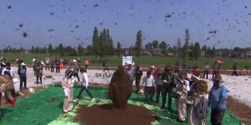 Číňan Ruan Liangming nechal své tělo pokrýt dokonce skoro 64 kily včel.