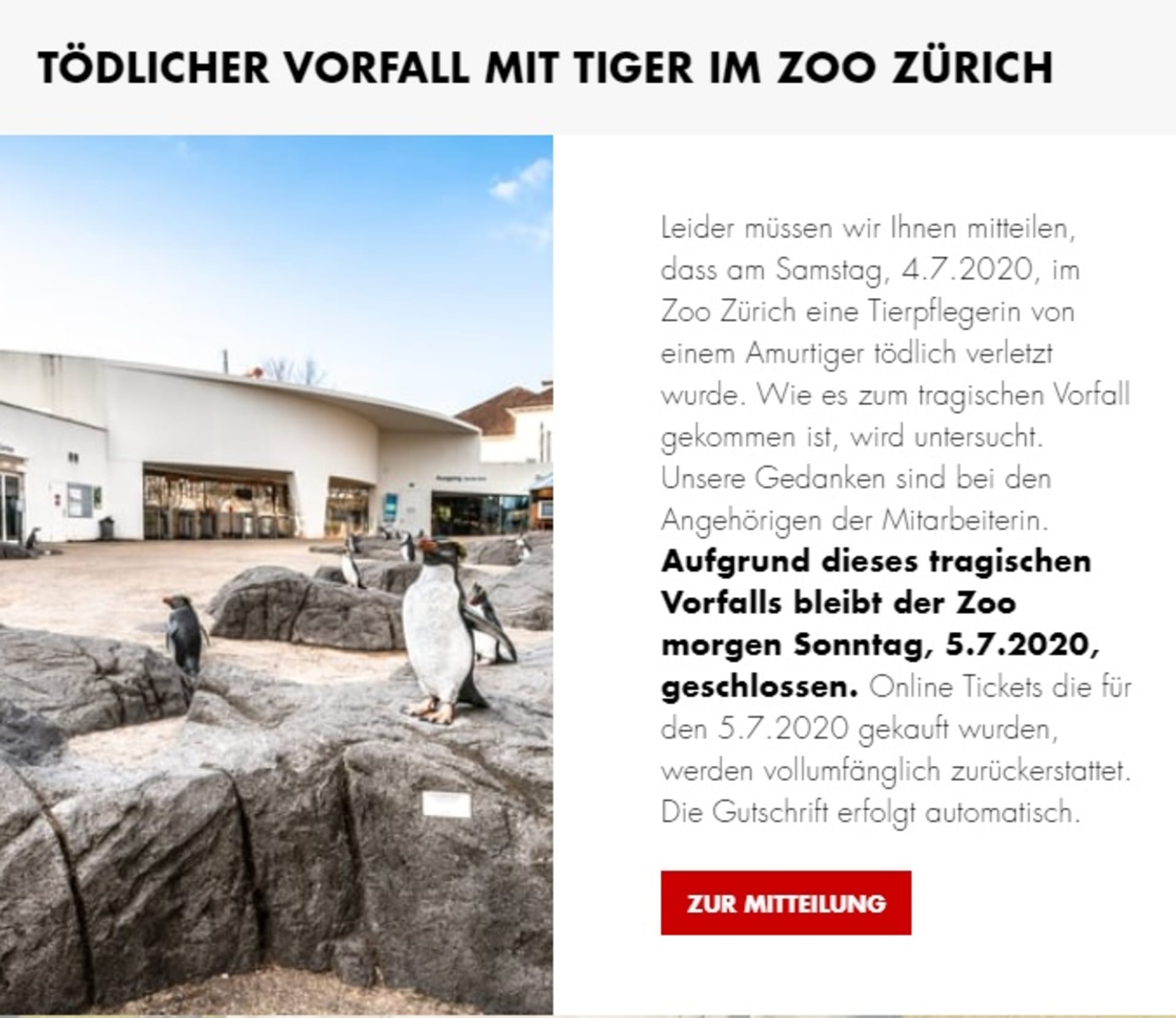 Oznámení o uzavření zoologické zahrady v Curychu na webových stránkách www.zoo.ch/de