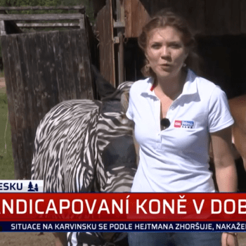 Reportérka CNN Prima NEWS Pavlína Fabiánová navštívila jezdecký klub Míšánek v Dobříši.