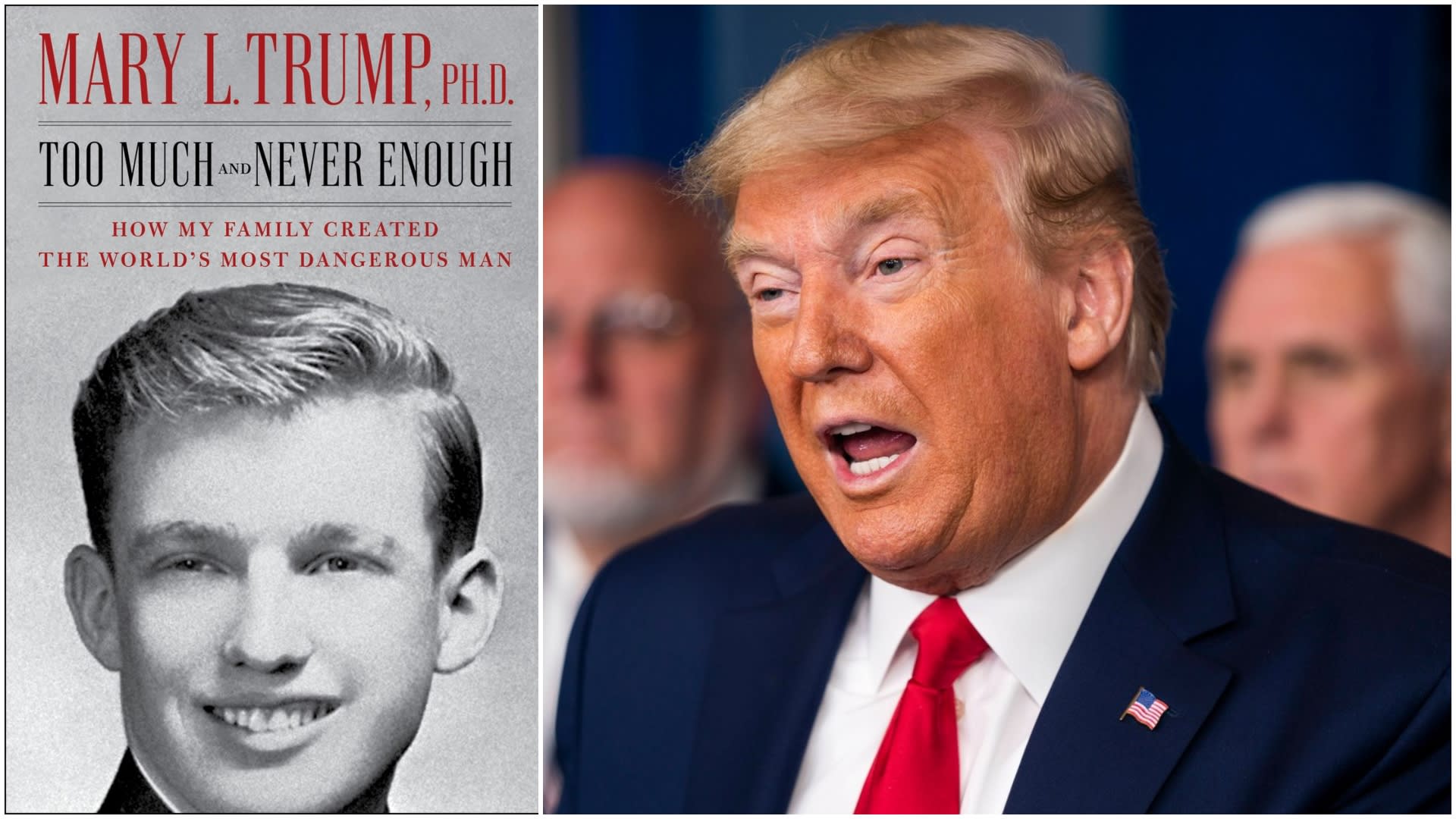 Neteř Donalda Trumpa napsala kritickou knihu o svém strýci.