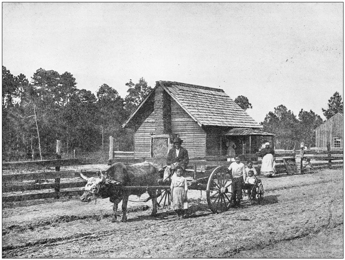 Na jihu USA využívali otrokáři své otroky z Afriky především na práci v zemědělství.