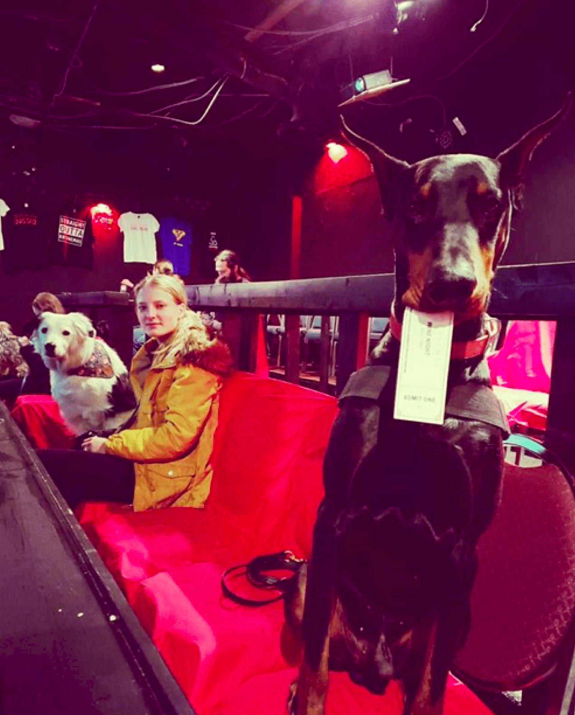 Kino je uzpůsobené i pro psy. 