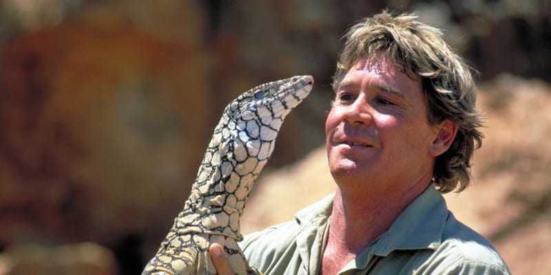 Steve Irwin byl populární milovník zvířat a hvězdou mnoha dokumentárních pořadů, který se nezalekl konfrontací s nebezpečnými zvířaty. Díky své odvaze a sympatickému vystupování se stal oblíbeným po celém světě. Největší popularitu mu přinesl pořad Lovec krokodýlů. Jeho práce a zároveň životní vášeň se mu však stala osudnou. Při natáčení dokumentu ho bodnul rejnok přímo do srdce, Irwin ve 44 letech na místě zemřel.