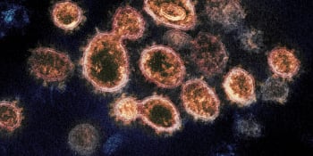 Počet nakažených koronavirem překročil na celém světě hranici 16 milionů lidí