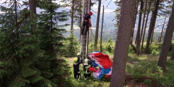 Paraglidista skončil na stromě, hasiči ho zachraňovali svázanými žebříky