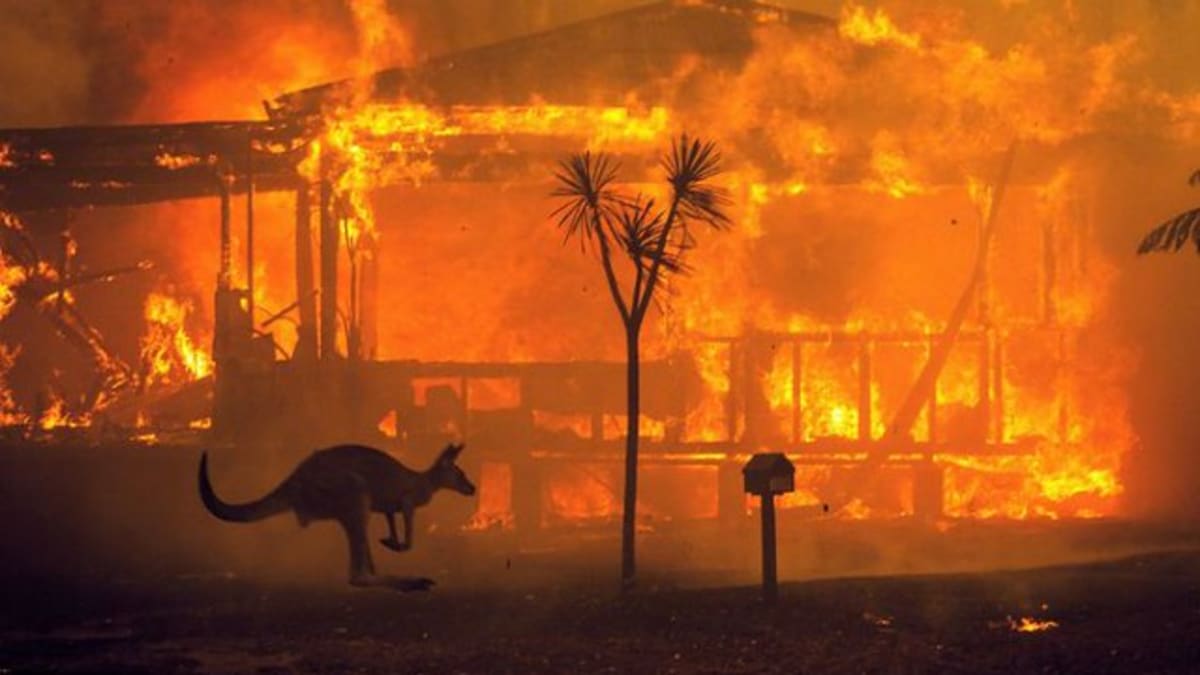 Požáry v Austrálii připravují o život lidi i zvířata.