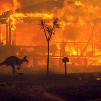 Požáry v Austrálii
