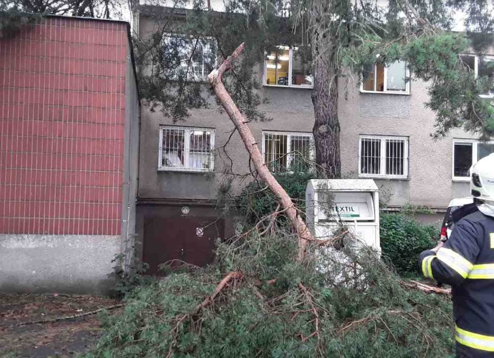 Spadlý strom zranil ženu a dítě v Sokolově. (Ilustrační fotografie)