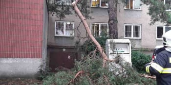 Silný vítr v Česku: Spadlý strom zranil ženu a dítě. Meteorologové rozšířili výstrahu