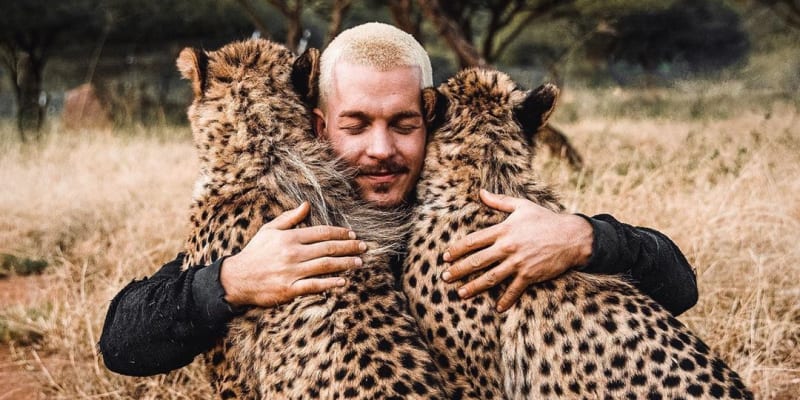 Mezi sebe ho přijal také gepardi.