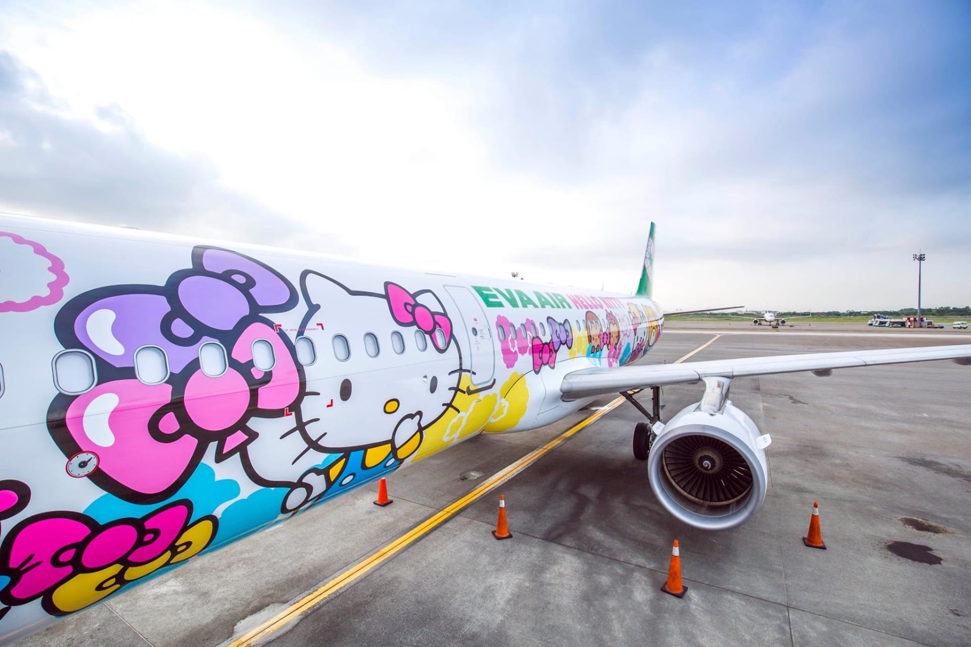 Tchajwanská soukromá letecká společnost EVA Air vytvořila letoun ve stylu Hello Kitty, kreslenou kočkou, která byla vytvořena japonskou designérkou Juko Šimizu.