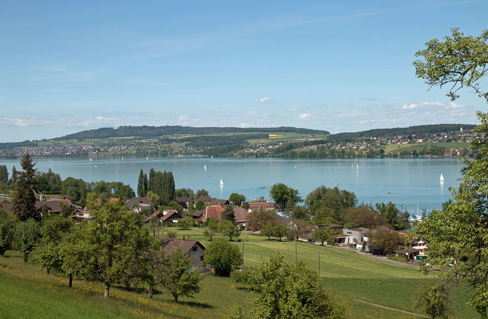 Jezero Hallwilersee ve Švýcarsku