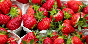 Ceny ovoce jsou oproti loňsku rekordní. Češi zaplatí za jahody přes 160 korun