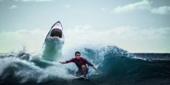 Surfař v Austrálii zachránil svou manželku před žralokem. Zmlátil ho pěstmi