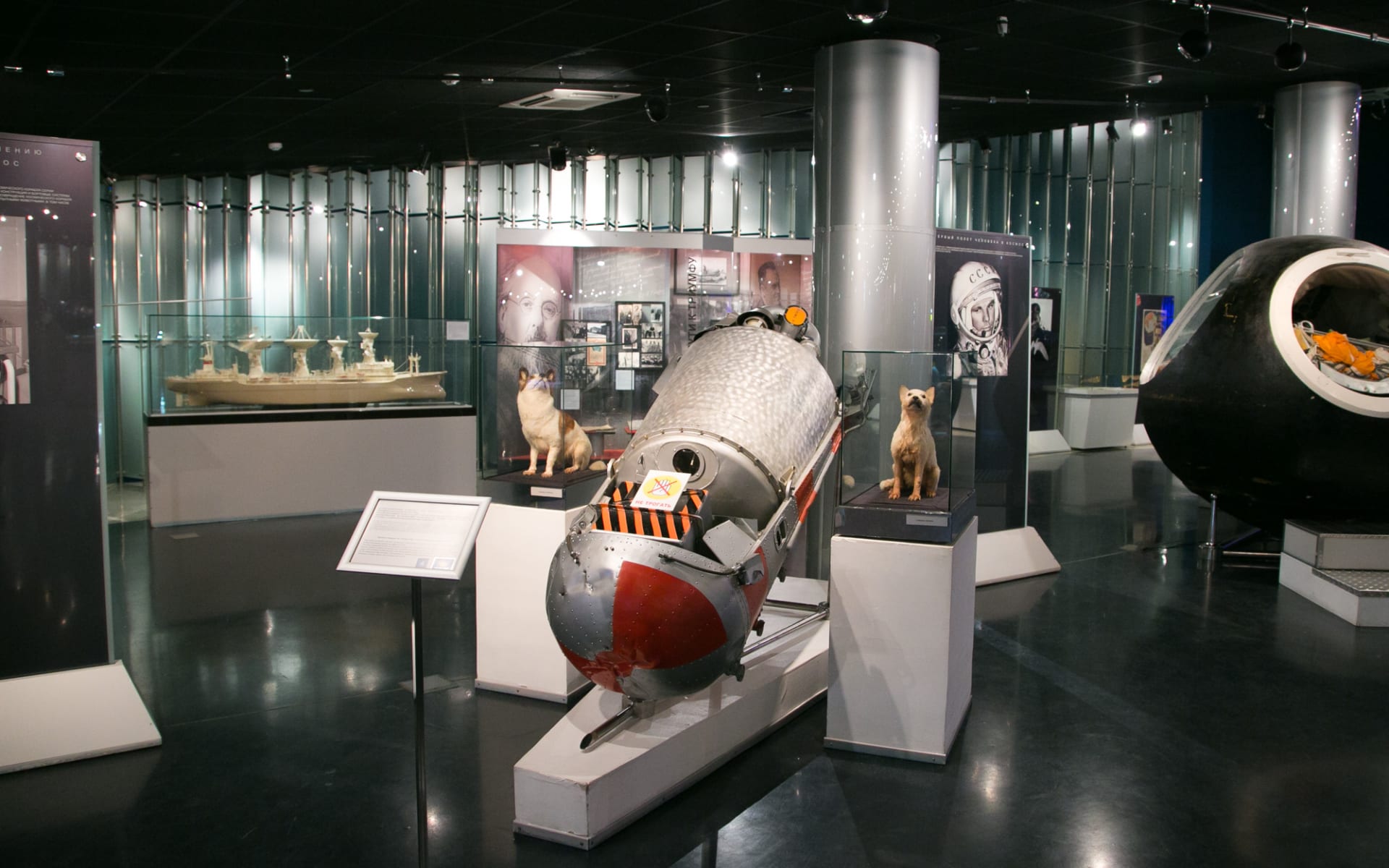 Těla Bělky a Strelky jsou vystavena v moskevském muzeu kosmonautiky.