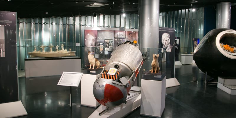 Těla Bělky a Strelky jsou vystavena v moskevském muzeu kosmonautiky.
