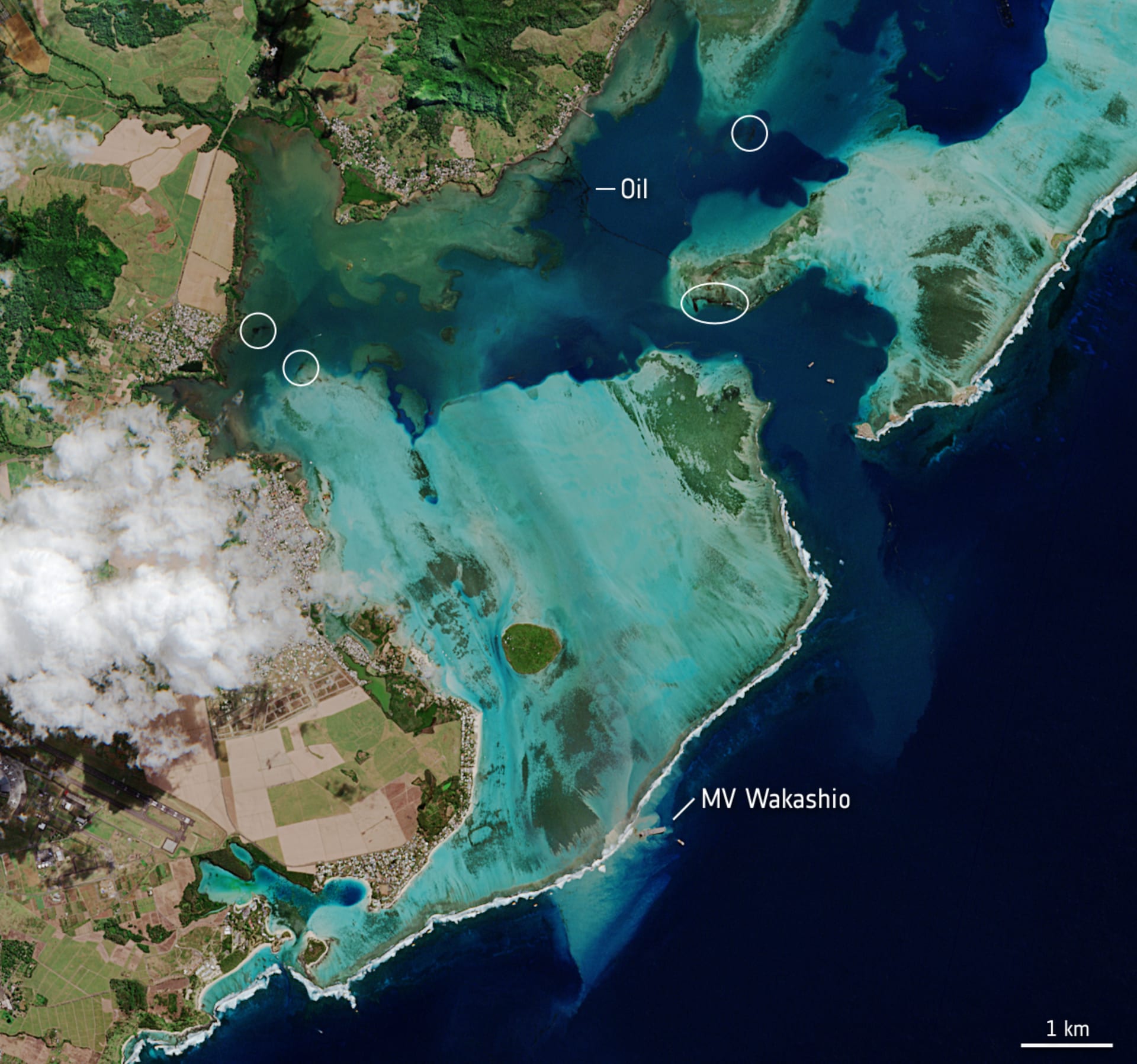 K nehodě plavidla došlo u korálových útesů. Zdroj: ESA
