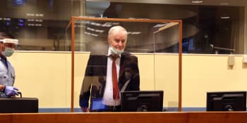 Žádá zproštění viny, nebo nový proces. V Haagu začalo odvolací řízení s Mladičem