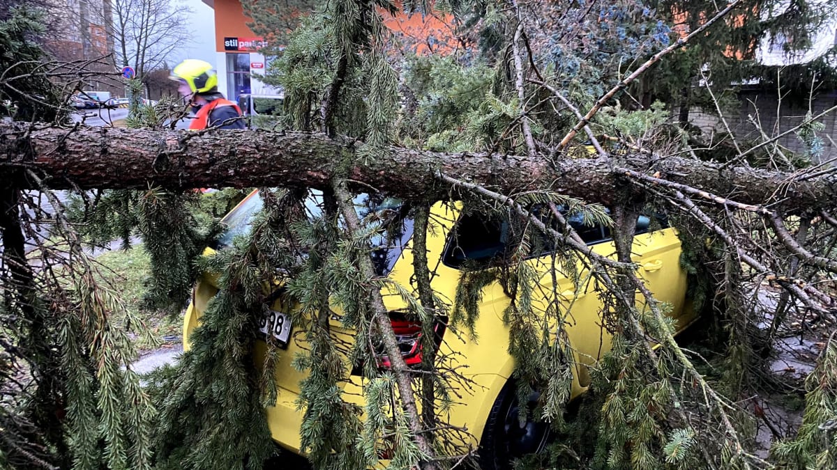 V Praze na Chodově a v Hloubětíně spadly stromy na zaparkovaná auta. 