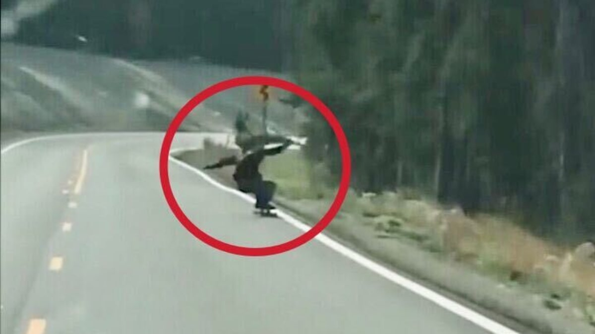 Na skateboardistu vyskočila srna. Srazila ho při jízdě z kopce