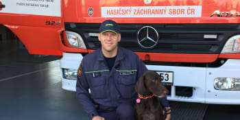 Český hasič o akci v Bejrútu: Psy jsme museli střídat a chladit po dvaceti minutách