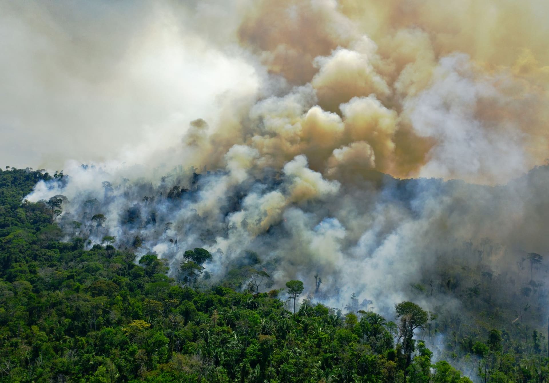 Z Amazonie stoupá hustý dým.