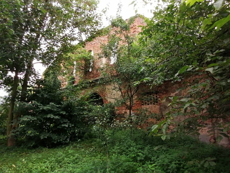Nowa Cerekwia, rozvaliny renesančního zámku