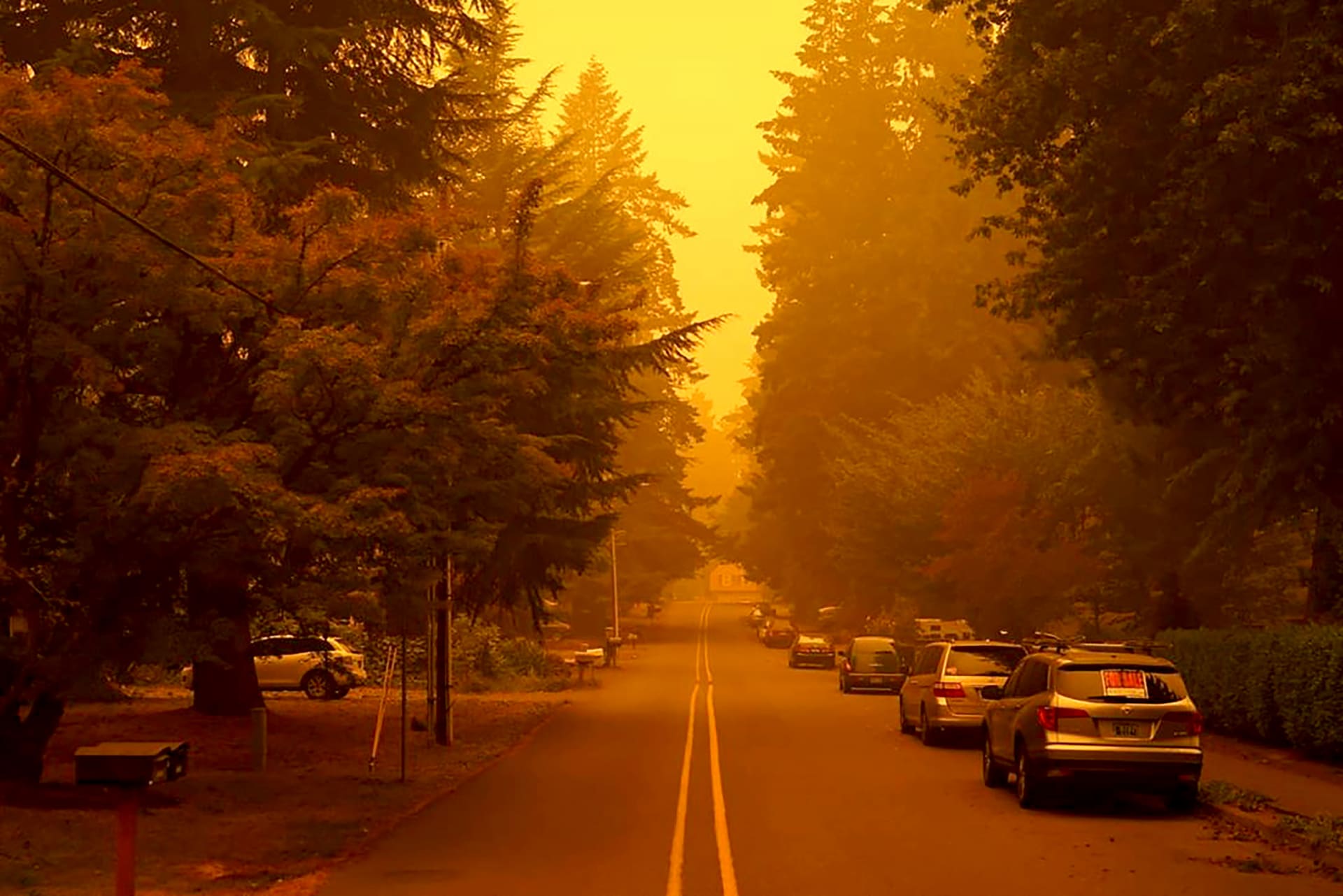 Obyvatelé některých oblastí na americkém západním pobřeží vidí oranžovou a místy až sytě červenou oblohu uprostřed dne. Příčinou zlověstného efektu je kouř z rozsáhlých lesních požárů, které už v Kalifornii, Oregonu a Washingtonu spálily statisíce hektarů.