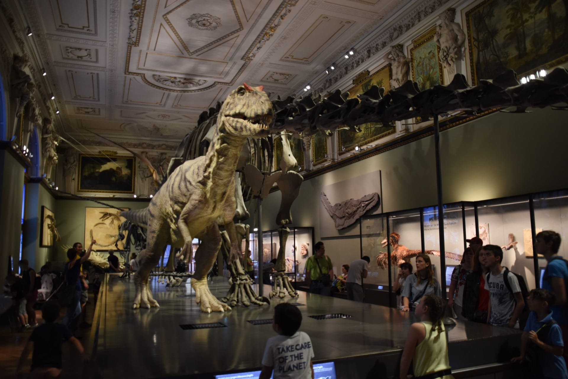 Dinosauři v přírodovědné muzeu.