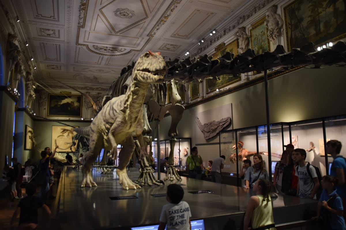 Dinosauři v přírodovědné muzeu