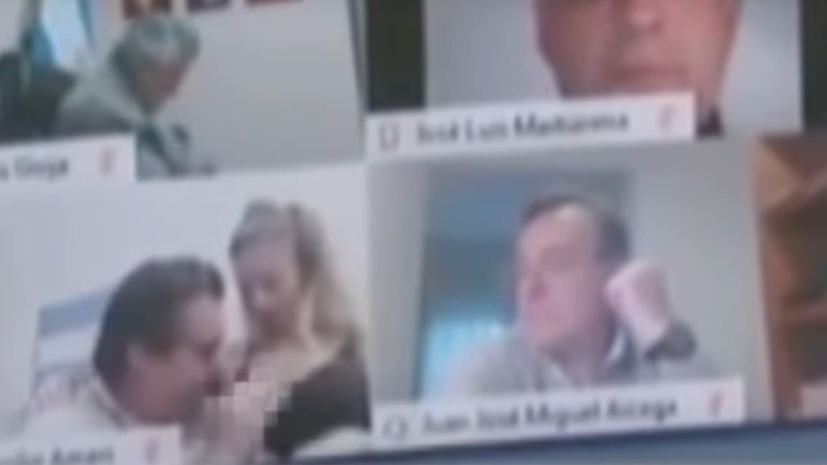 Poslanec argentinského parlamentu Juan Emilio Ameri líbal při videokonferenci prsa své ženy.