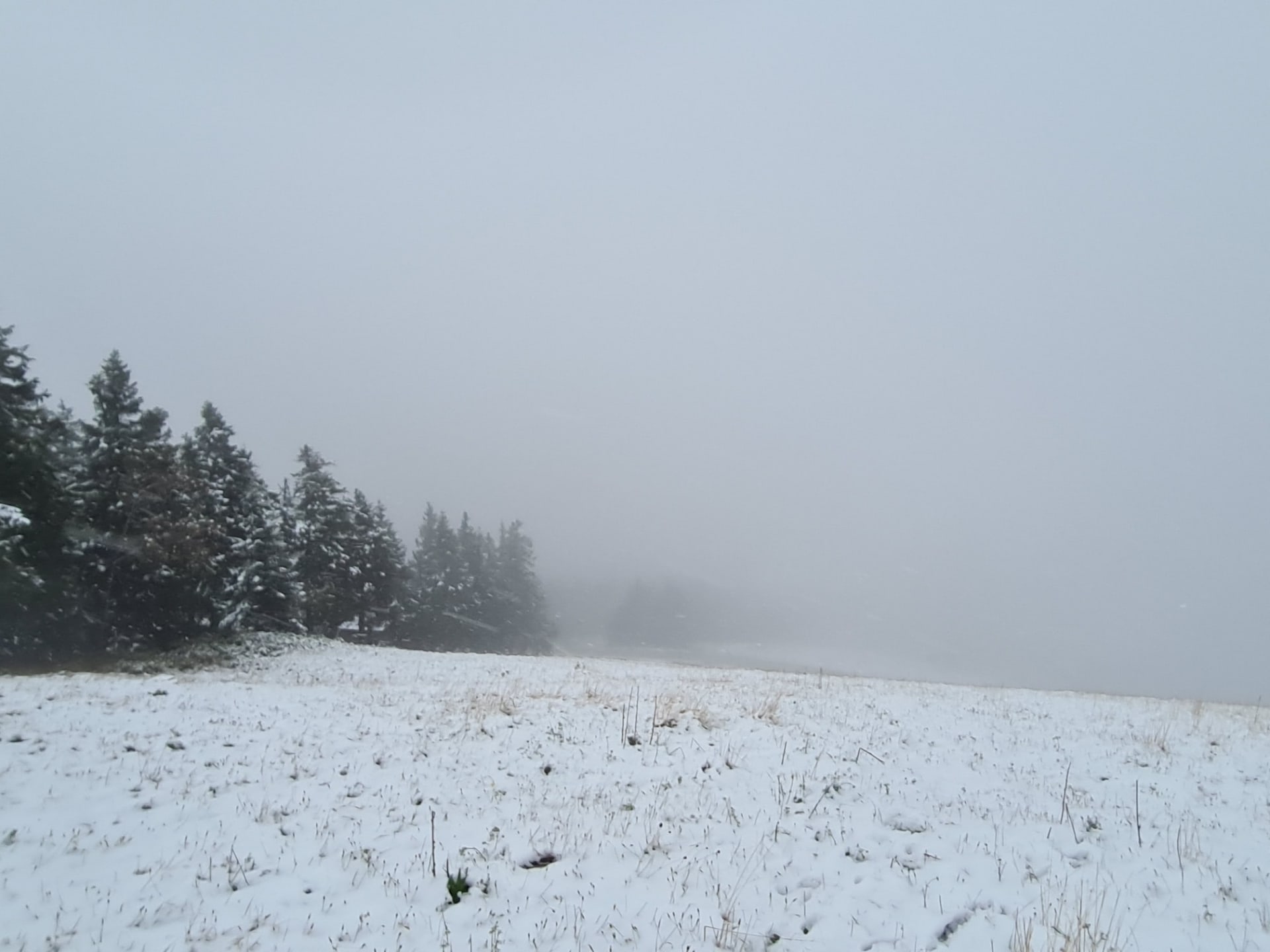 První sníh v sobotu napadl v horních polohách Šumavy a Krušných hor. 