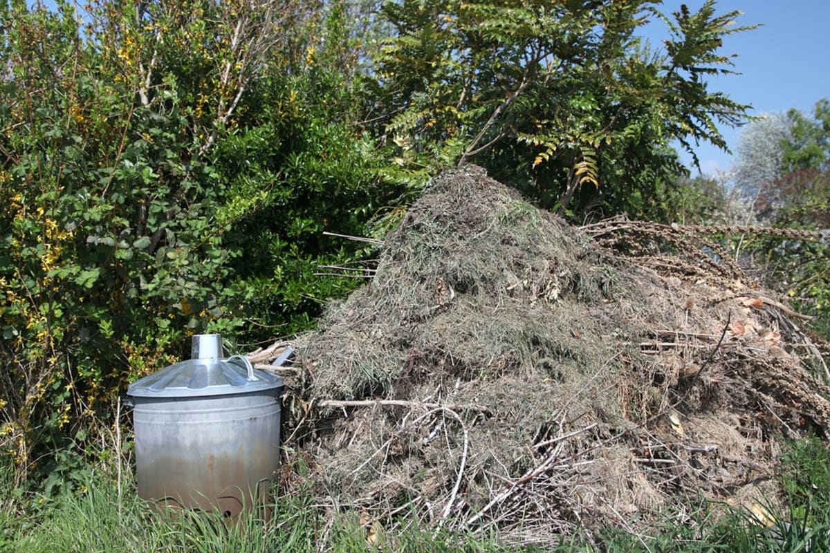 Hromady větví a větviček i kompost skýtají skvělou příležitost k úkrytu.