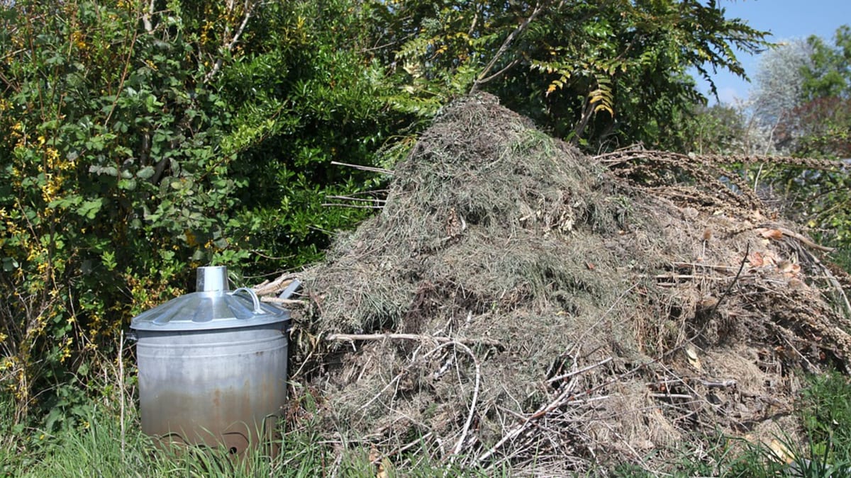 Hromady větví a větviček i kompost skýtají skvělou příležitost k úkrytu.