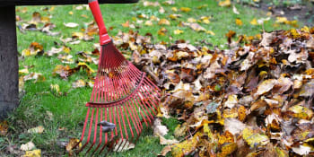 Nechte listí ležet a zahrada vám to oplatí –⁠ pár tipů na péči o podzimní zahradu