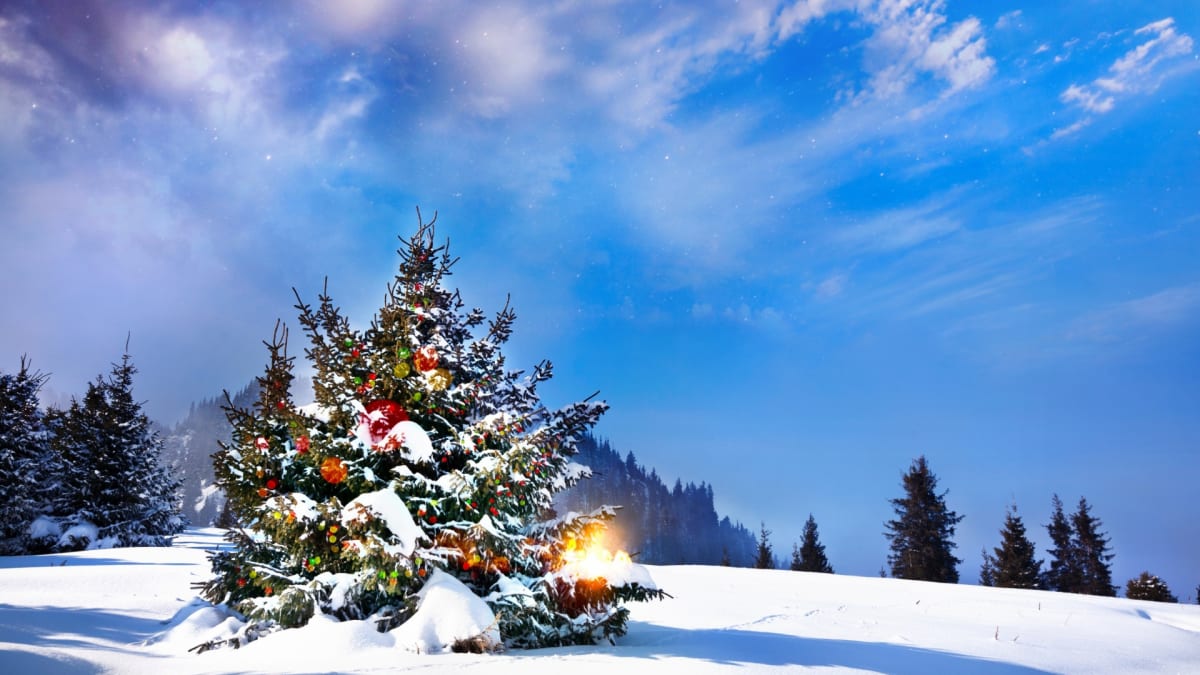 Ozdobený vánoční stromek v krajině (foto: mepixels.com)
