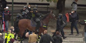 Hrdinové nedělní demonstrace. Na policejní koně létaly dlažební kostky, přesto vydrželi