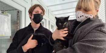 Naděje umírá poslední: Jednadvacetiletí kočičí bráchové našli nový domov