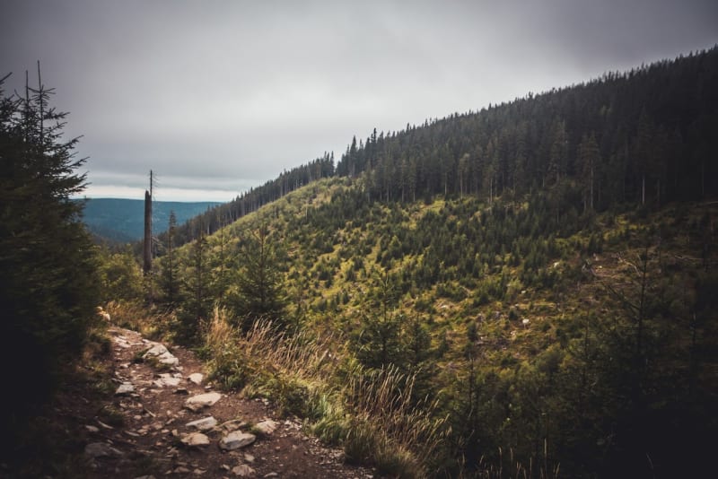 Úžasné výhledy na pohoří Hrubého Jeseníku (modrá stezka)