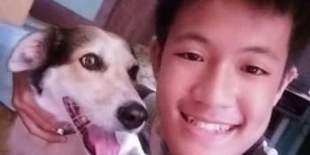 Pes brečel štěstím, když ho jeho majitel po několika měsících znovu našel