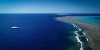 V Austrálii objevili korálový útes, který výškou překoná řadu mrakodrapů