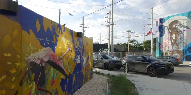 Graffiti dominují většině zdí ve čtvrti Wynwood