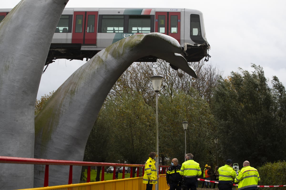 Metro zachránil před pádem velrybí ocas.