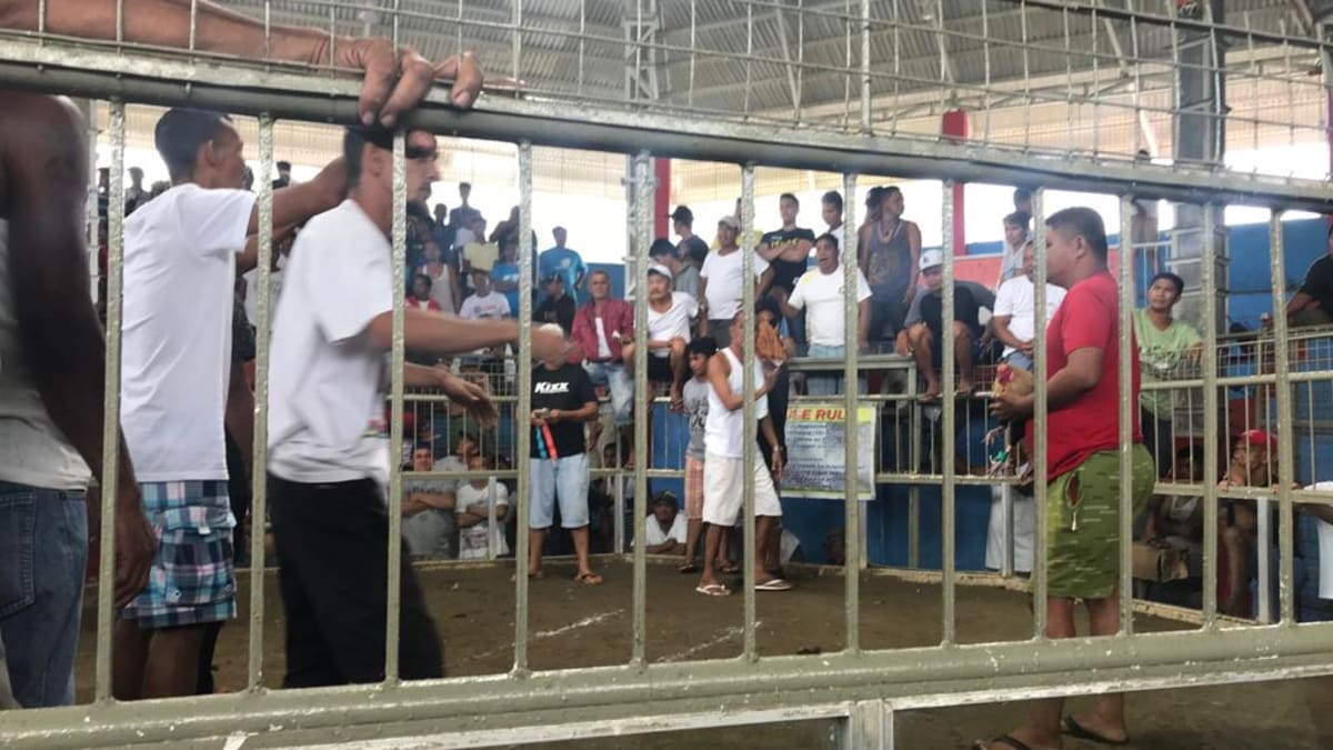 Zápasy v obci Donsol na Filipínách/Tomáš Zelený
