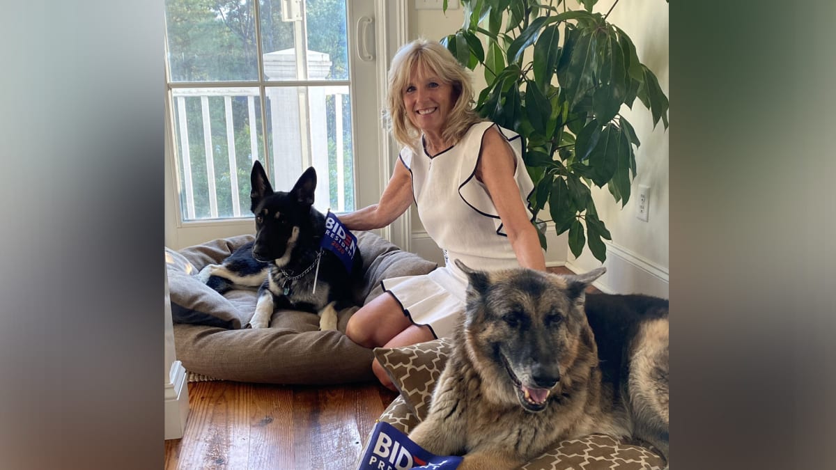 Jill Biden se svými psy.